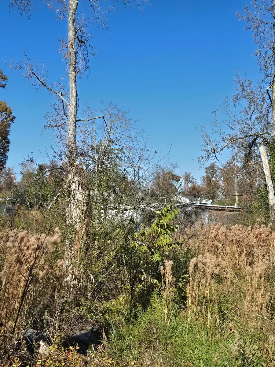 8907 Bill Reed Road, Ooltewah, TN 37363 - Image #2