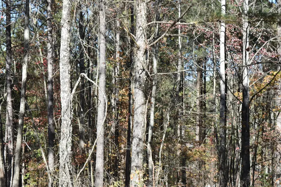 0 Split Rail Way, Lot 1131 Way, Guild, TN 37340 - Image #3