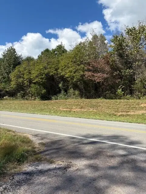 0 Us 127, Pikeville, TN 37367 - Image #2