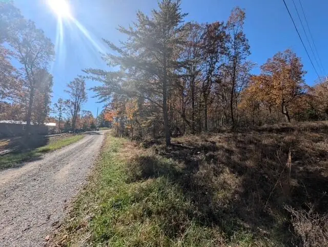 Lot 8 Raenne Drive, Spring City, TN 37381 - Image #2