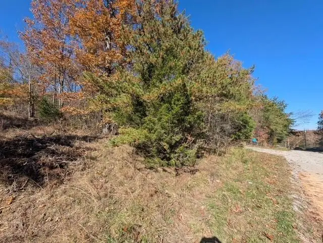 Lot 8 Raenne Drive, Spring City, TN 37381 - Image #3