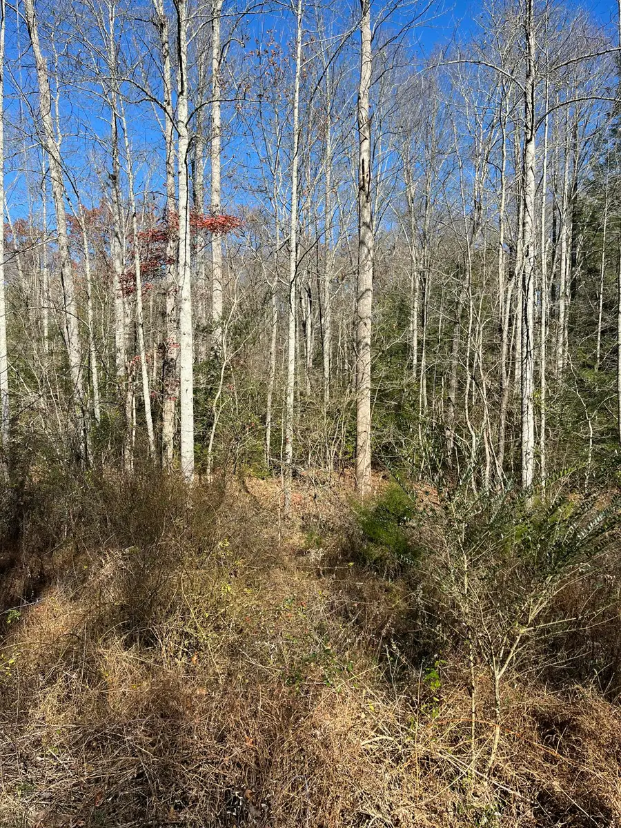 5 Acres Hendon Road, Graysville, TN 37338 - Image #3