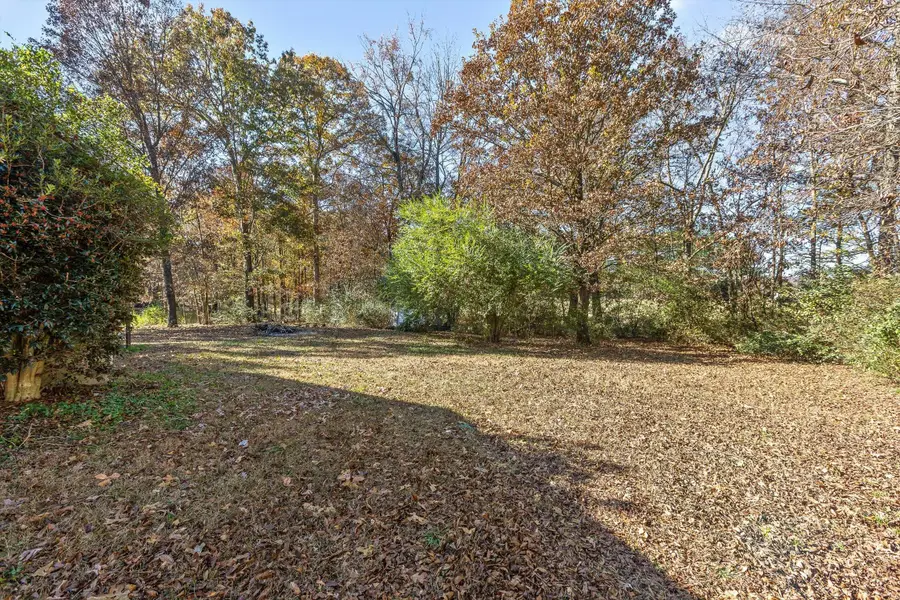 162 Shawn Lane, Chatsworth, GA 30705 - Image #3