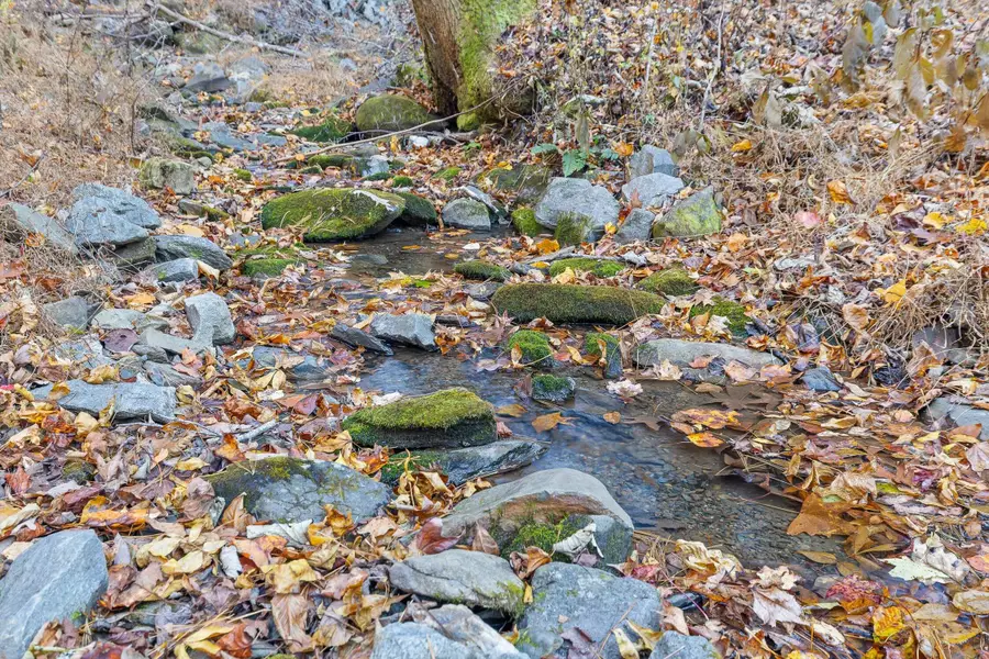 180 Cohutta Forest Road, Ellijay, GA 30540 - Image #3