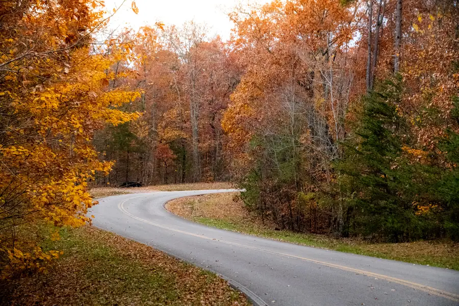 0 Clear Brooks Drive, Signal Mountain, TN 37377 - Image #2