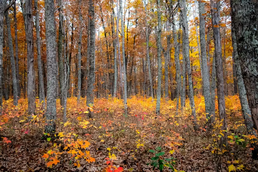 0 Clear Brooks Drive, Signal Mountain, TN 37377 - Image #3