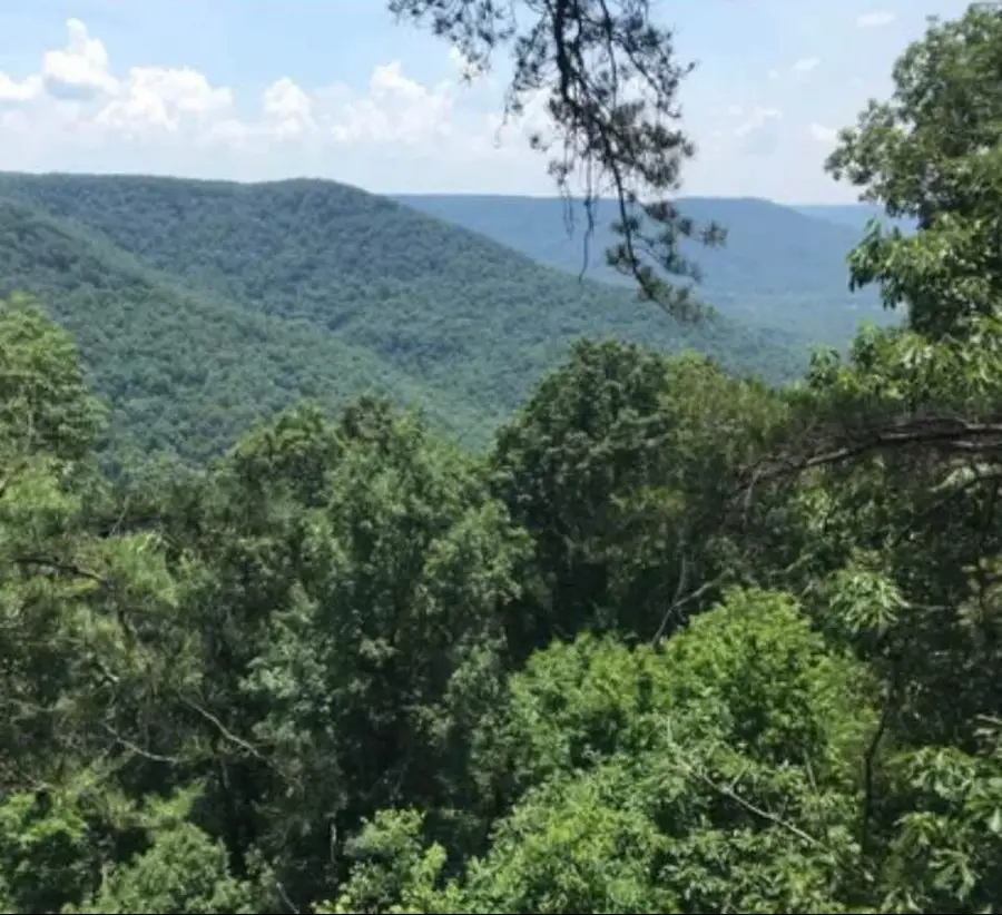 Lot 41 Wohalie Lane #41, South Pittsburg, TN 37380 - Image #2