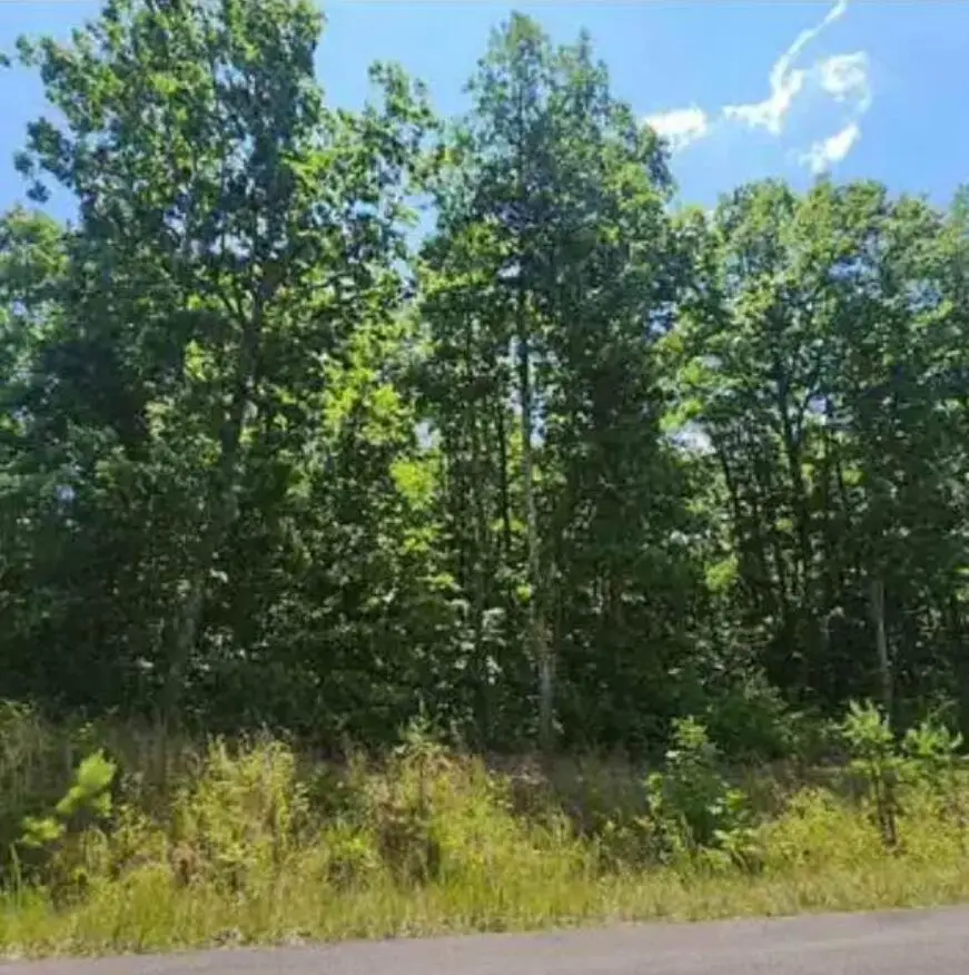 Lot 41 Wohalie Lane #41, South Pittsburg, TN 37380 - Image #3
