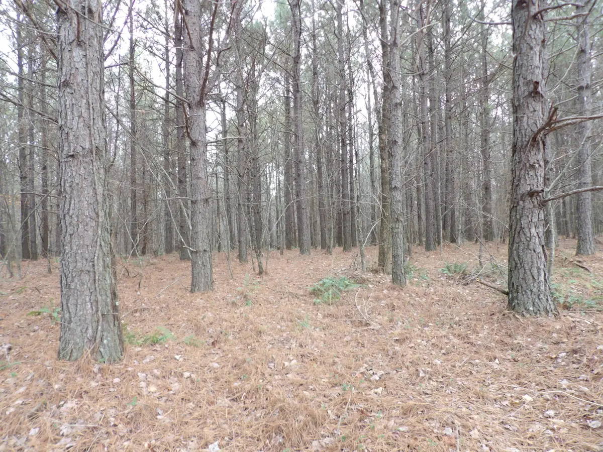 Lot 19 Summercity Road, Evensville, TN 37332 - Image #1