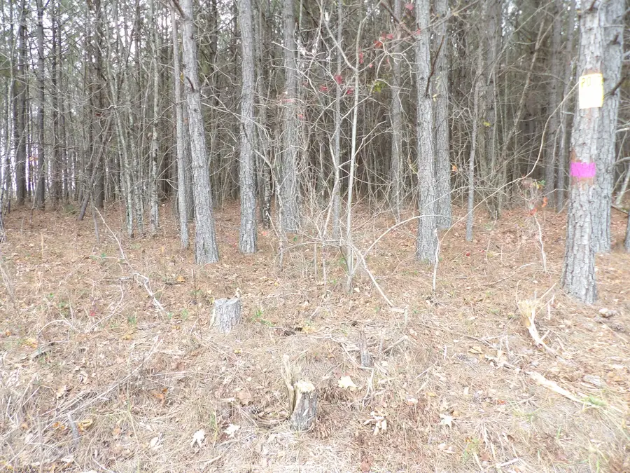 Lot 19 Summercity Road, Evensville, TN 37332 - Image #3