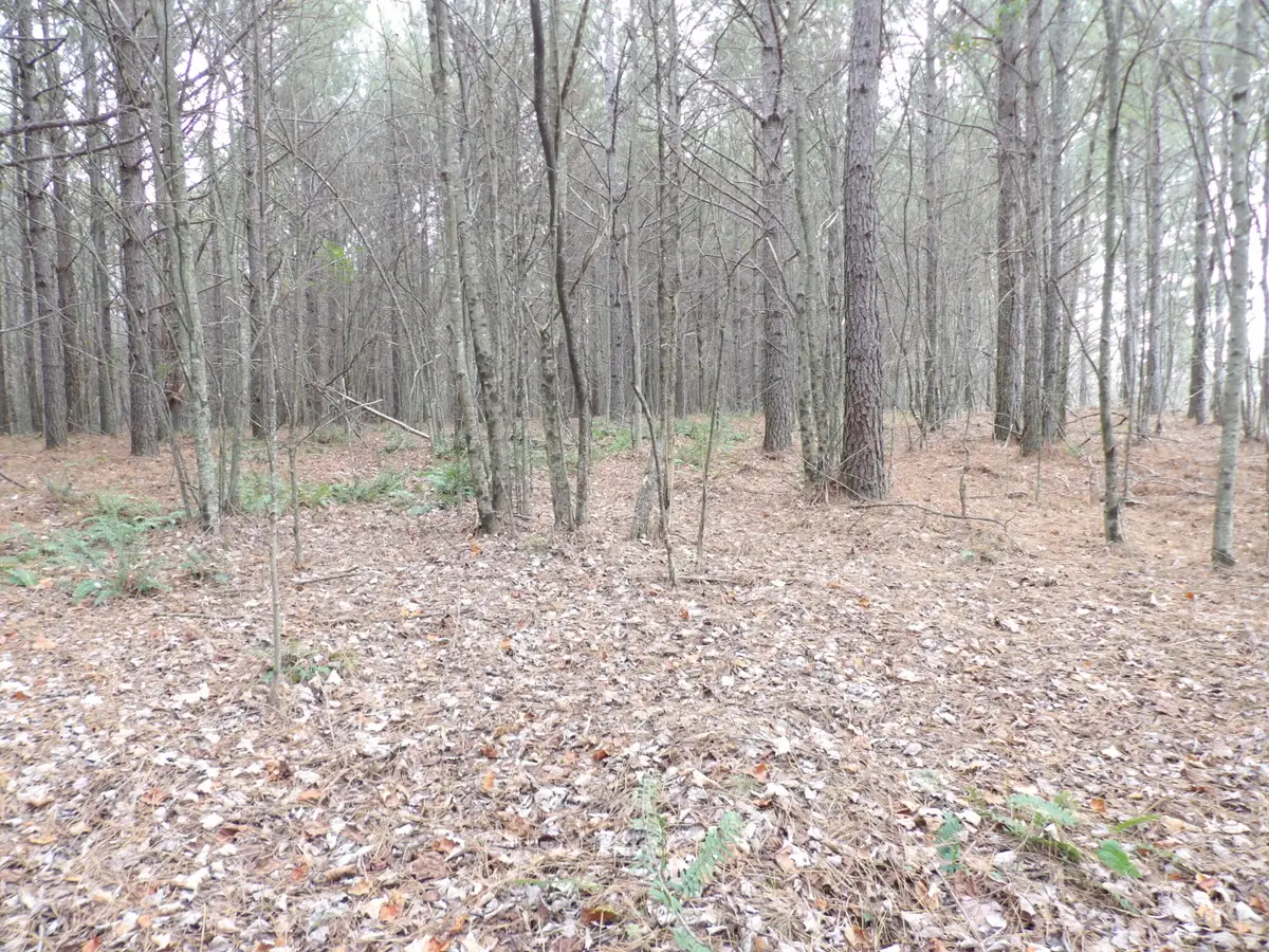 Lot 20 Summercity Road, Evensville, TN 37332 - Image #1