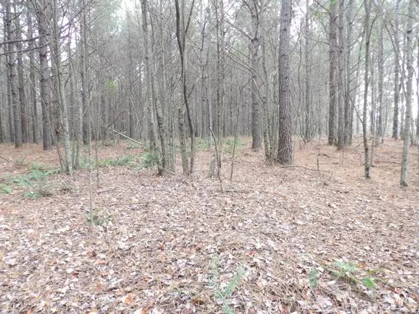 Lot 20 Summercity Road, Evensville, TN 37332