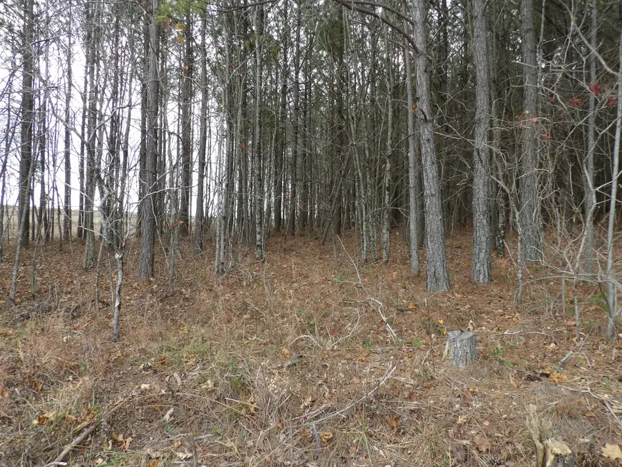 Lot 20 Summercity Road, Evensville, TN 37332 - Image #2
