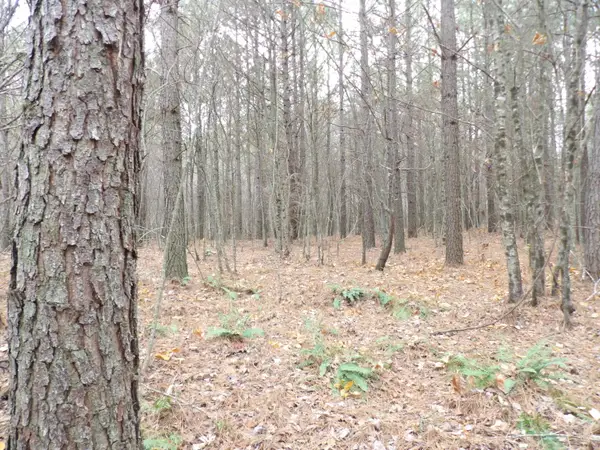 Lot 21 Summercity Road, Evensville, TN 37332