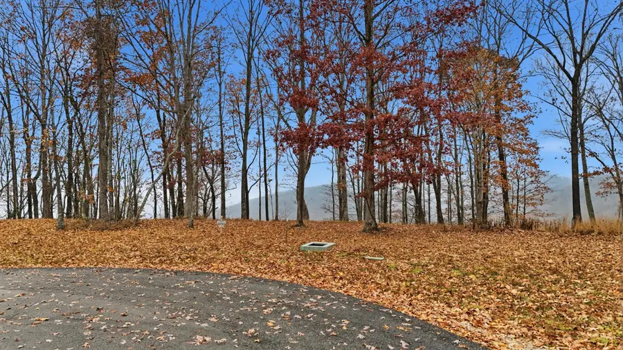 361 Volunteer Street, Jasper, TN 37347 - Image #3