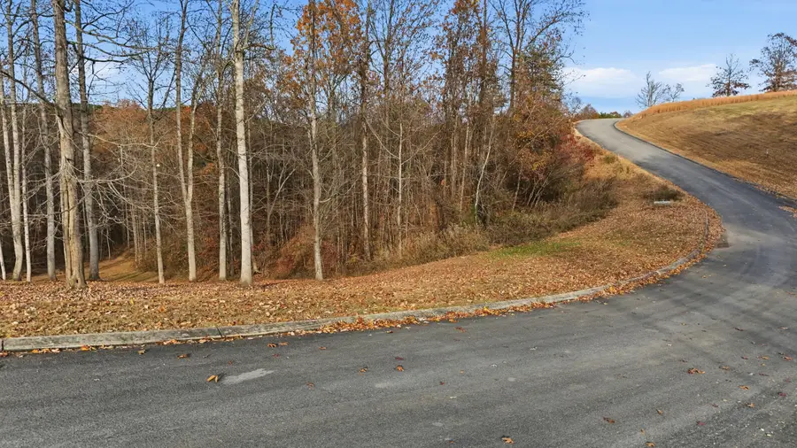 481 Hidden Forest Trail, Spring City, TN 37381 - Image #2