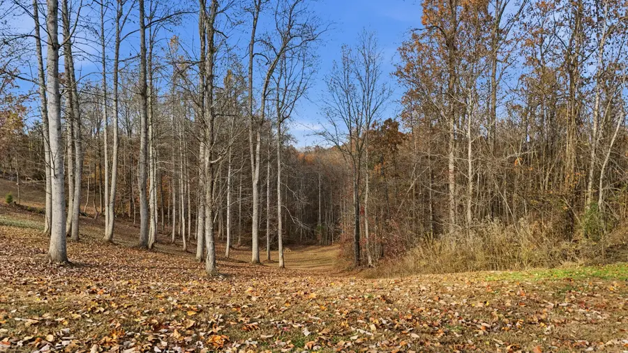 481 Hidden Forest Trail, Spring City, TN 37381 - Image #3