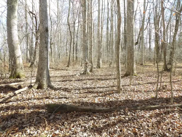 Lot 1 Cyrus Daniels Road, Evensville, TN 37332