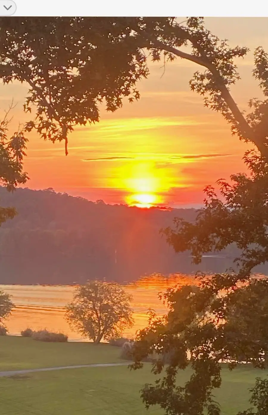 1118 Holly Glen Lane, Decatur, TN 37322 - Image #2