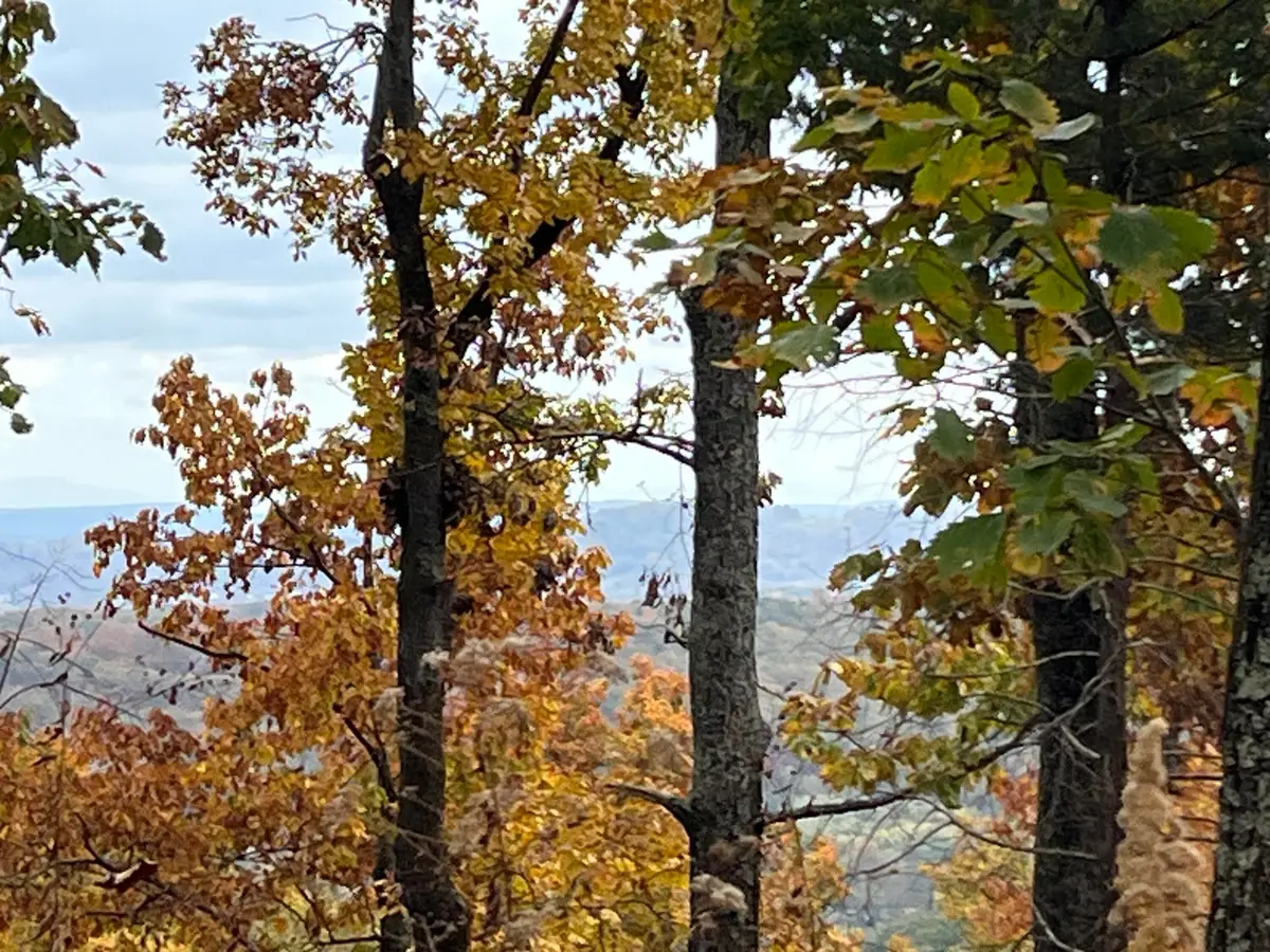 8037 Rocky Ledge Drive, Hixson, TN 37343 - Image #1