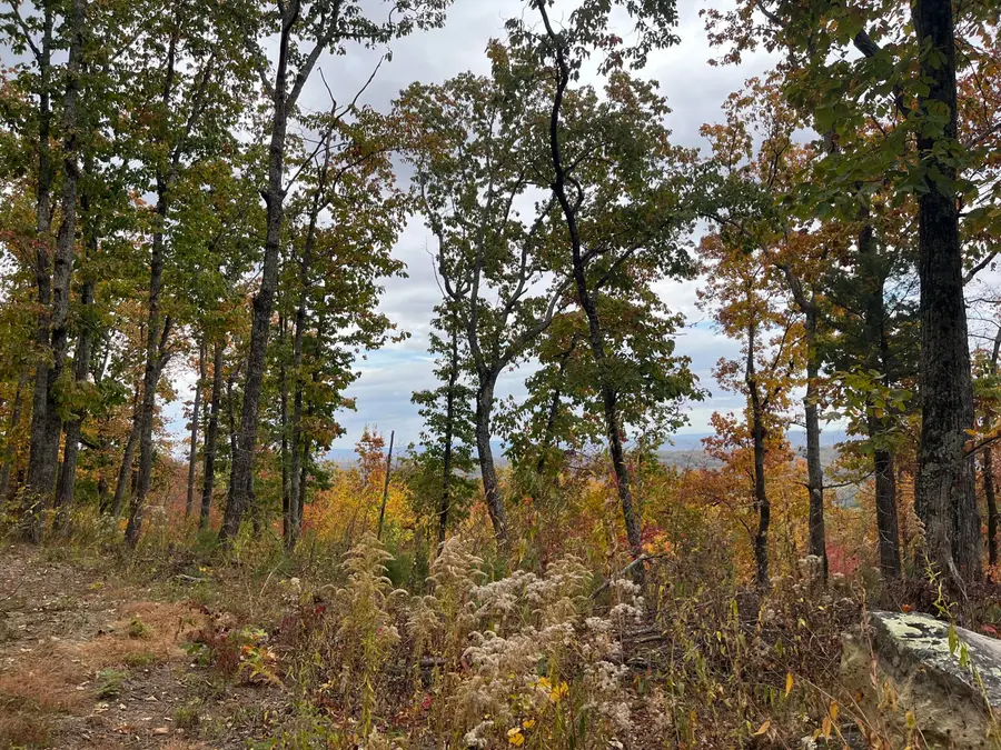 8037 Rocky Ledge Drive, Hixson, TN 37343 - Image #3