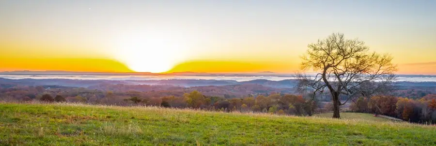 0 Black Oak Road, Sale Creek, TN 37373 - Image #3