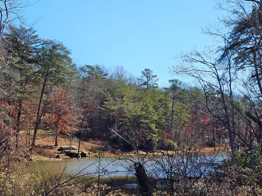 242 Ranger Creek Road, Coalmont, TN 37313 - Image #2