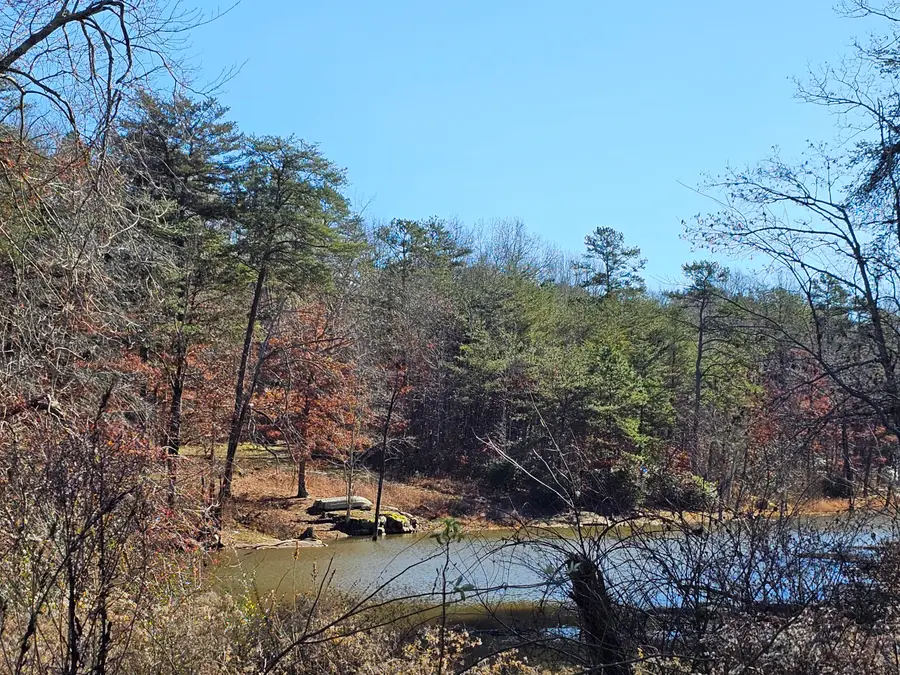 242 Ranger Creek Road, Coalmont, TN 37313 - Image #3