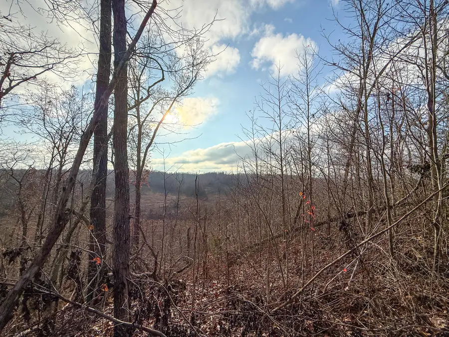 00 Hellsneck Lane, Waverly, TN 37185 - Image #2