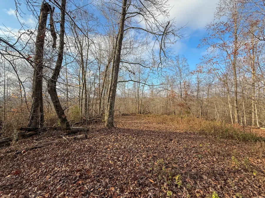 00 Hellsneck Lane, Waverly, TN 37185 - Image #3