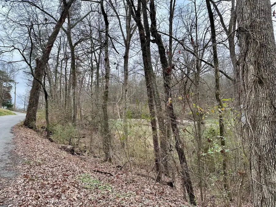 302 Brumlow Hollow Road, Soddy Daisy, TN 37379 - Image #3