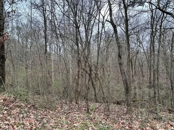 310 Brumlow Hollow Road, Soddy Daisy, TN 37379