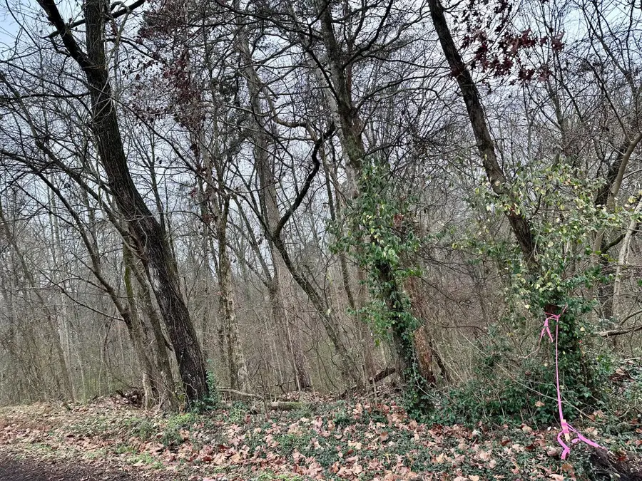 310 Brumlow Hollow Road, Soddy Daisy, TN 37379 - Image #3