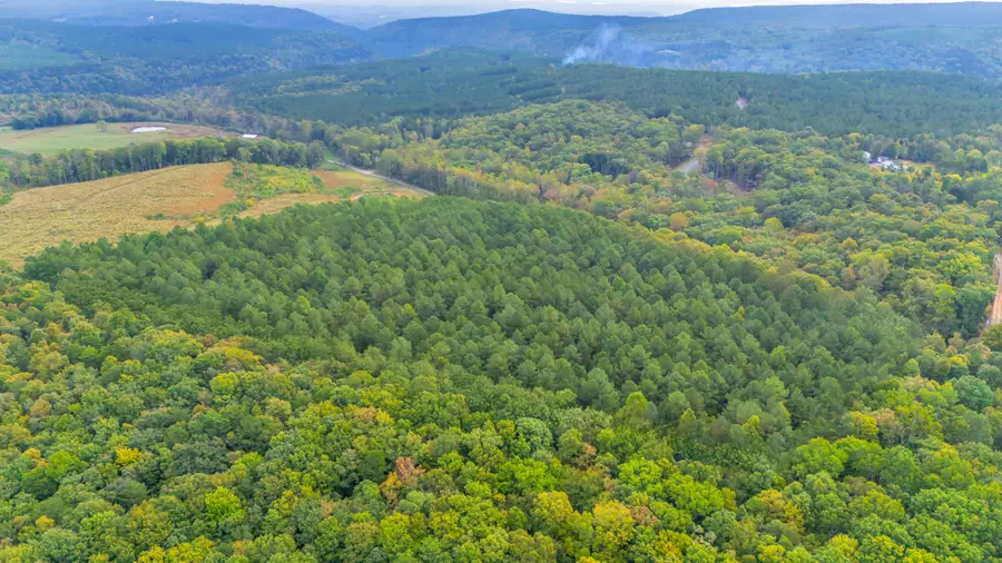 11003 Worley Road, Soddy Daisy, TN 37379 - Image #2