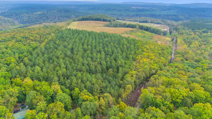 11003 Worley Road, Soddy Daisy, TN 37379 - Image #3