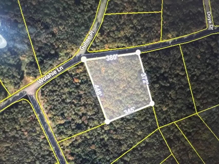 0 Wohalie 45&45a Lane, South Pittsburg, TN 37380 - Image #3