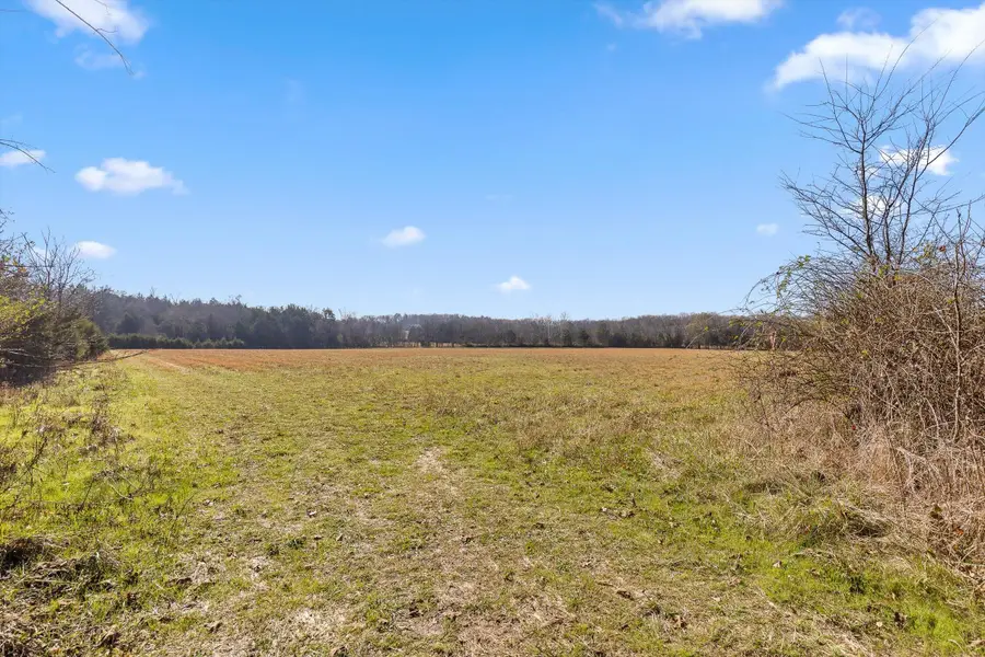 0 Brock Road, Chickamauga, GA 30707 - Image #3