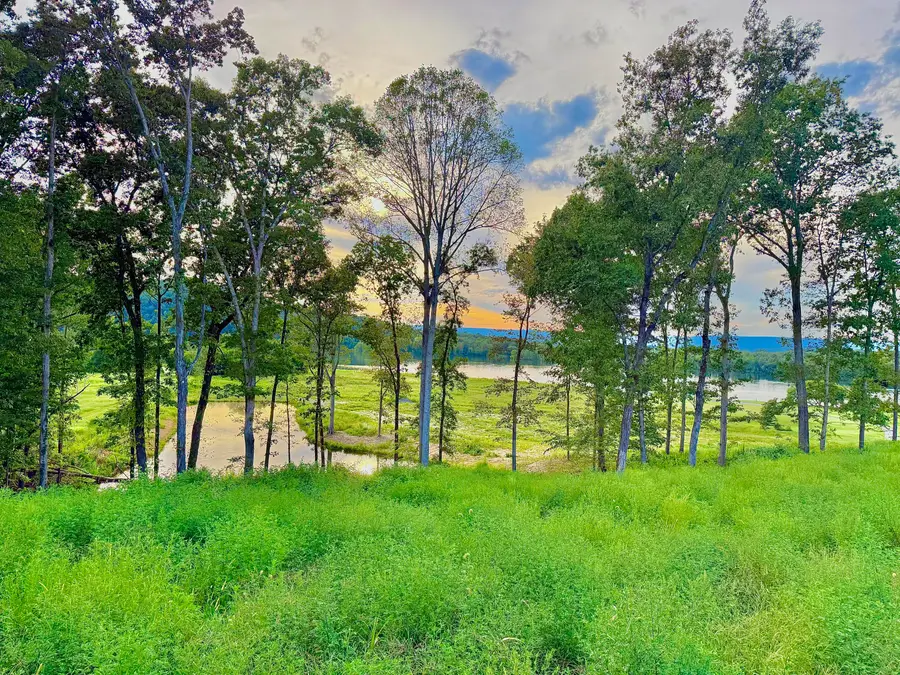 1276 Holly Glen Lane, Decatur, TN 37322 - Image #3