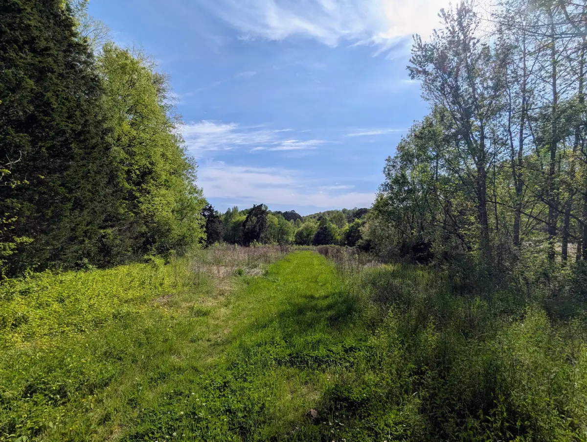 00 Ladd Springs Road, Old Fort, TN 37362 - Image #1