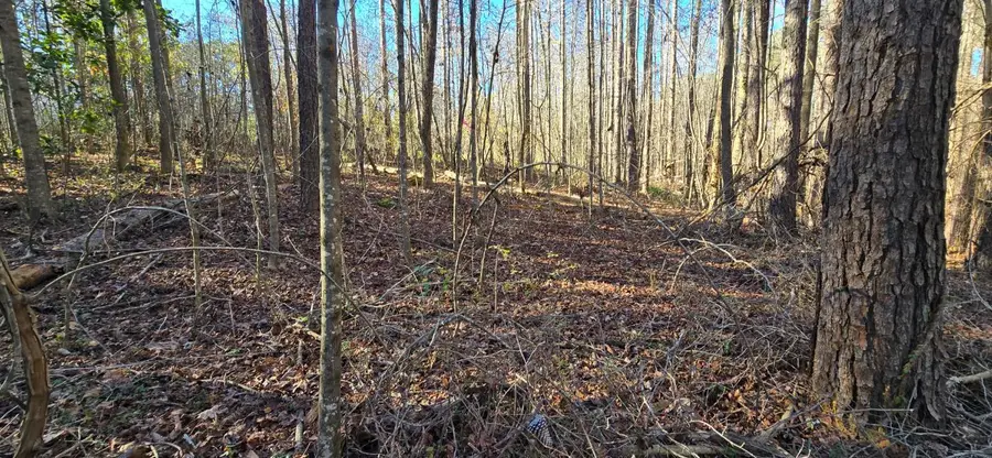 835 Eagles Nest Circle, Carrollton, GA 30116 - Image #3