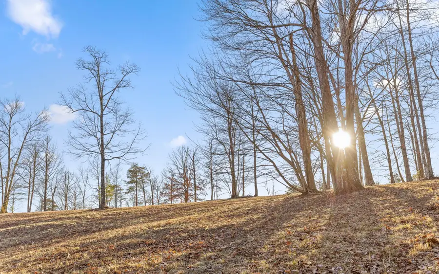 Lot Lg1 Lake George Drive, Dunlap, TN 37327 - Image #2