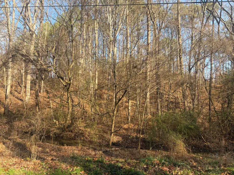 0 Rauschenberg Road Nw, Dalton, GA 30720 - Image #3