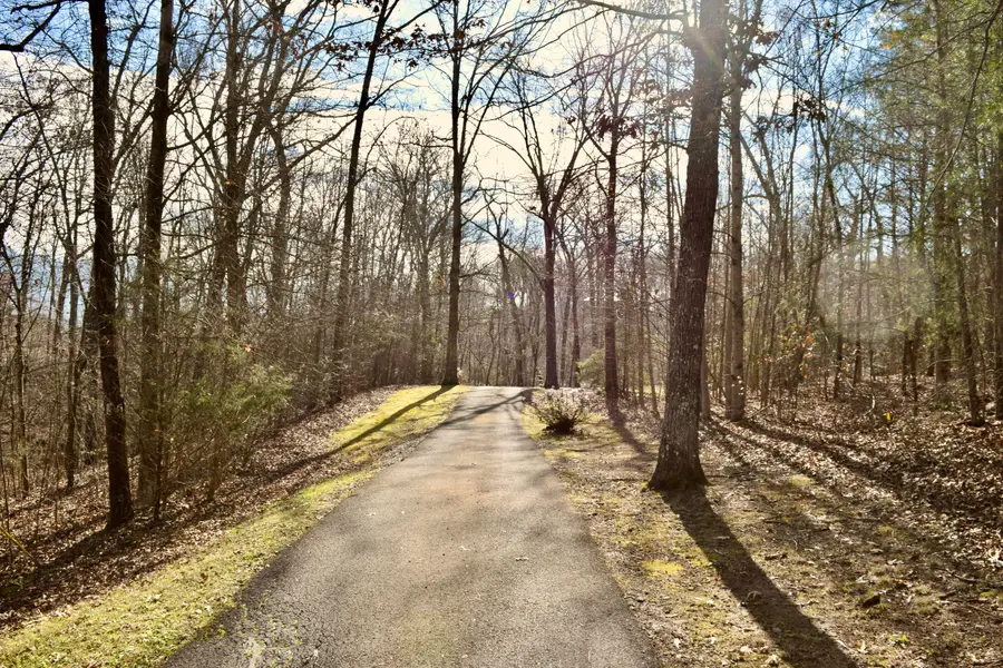 58 Marilyn Court, Dunlap, TN 37327 - Image #3