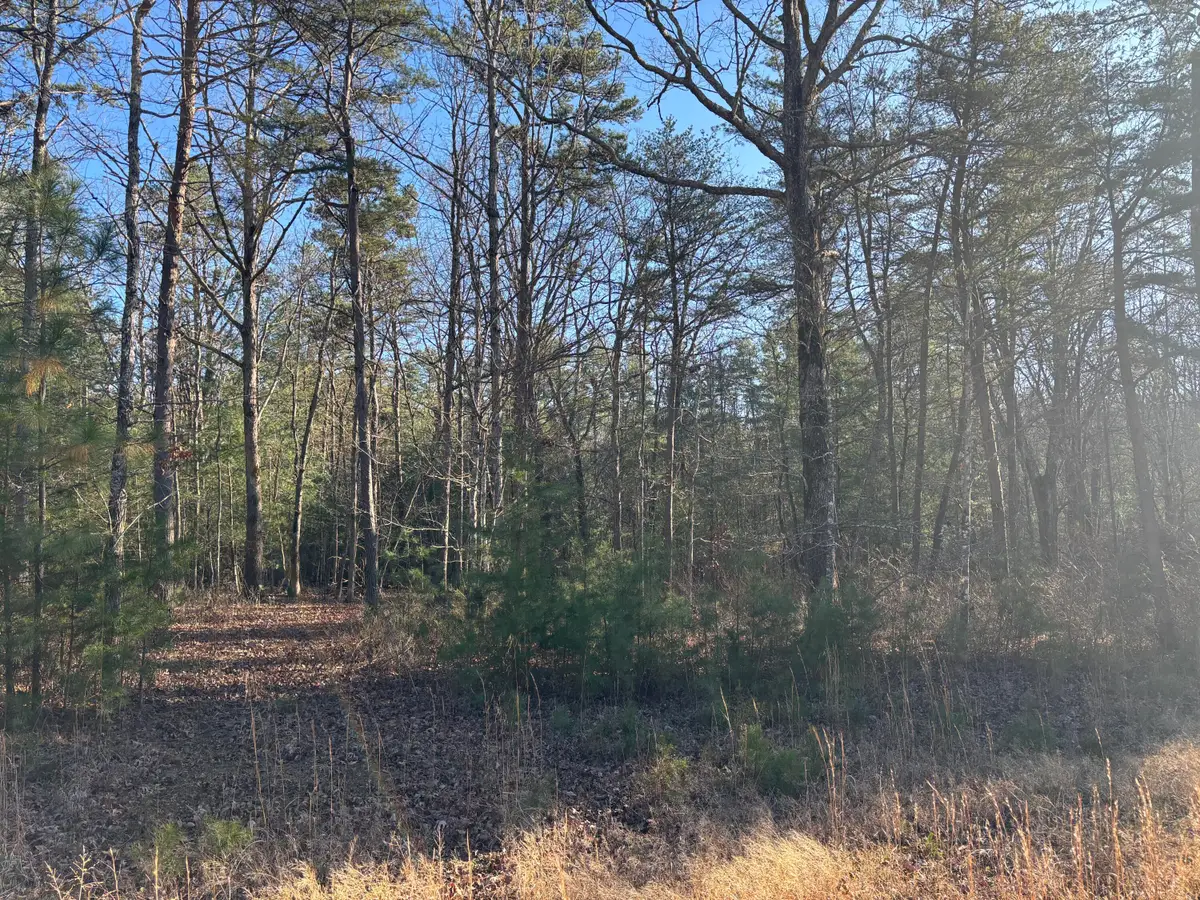 776 Lou Road, Pikeville, TN 37367 - Image #1