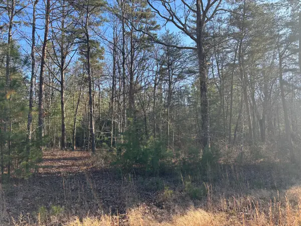 776 Lou Road, Pikeville, TN 37367