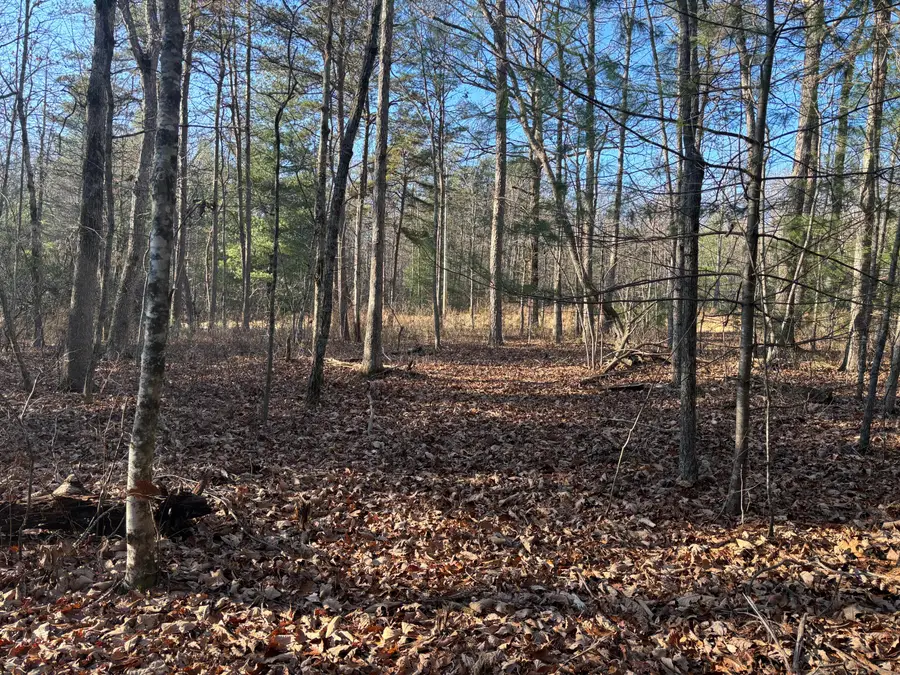 776 Lou Road, Pikeville, TN 37367 - Image #2