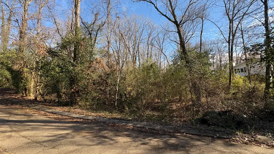 0 Skyline Park Drive, Signal Mountain, TN 37377 - Image #2