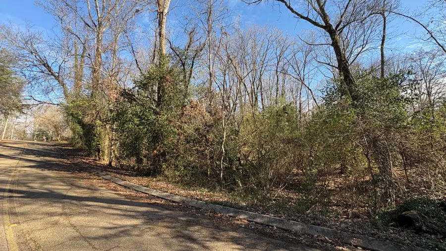 0 Skyline Park Drive, Signal Mountain, TN 37377 - Image #3