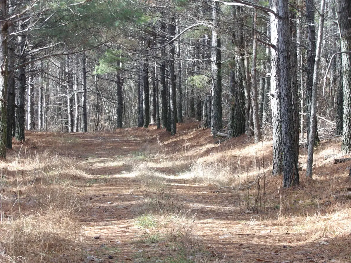 340 Randell Harris Road, Evensville, TN 37332 - Image #1