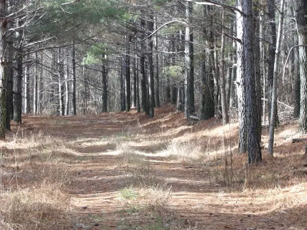 340 Randell Harris Road, Evensville, TN 37332